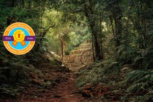 Les derniers aventuriers du temple perdu