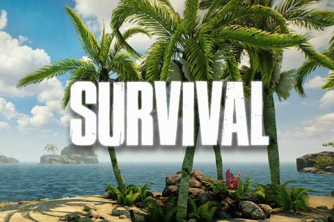 Plage de sable avec palmiers, mer bleue et le titre Survival en grosses lettres blanches, jeu chez Inoui VR à Lille