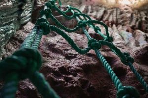 Sur les traces du docteur Stone