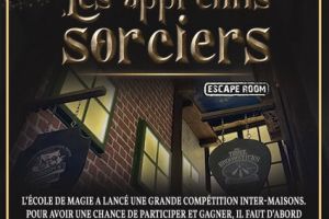Les apprentis sorciers