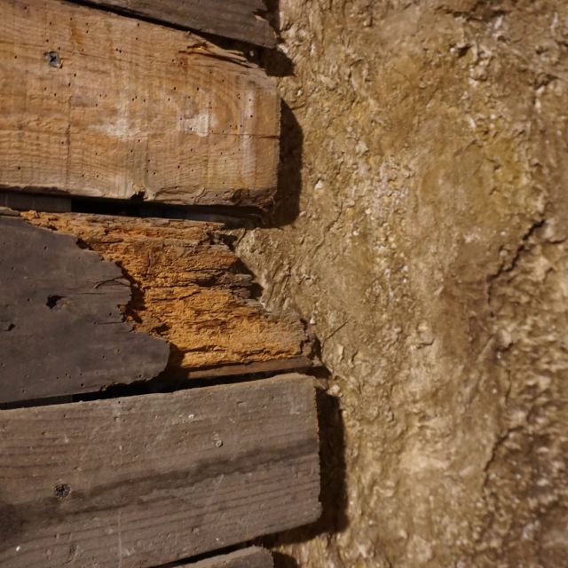 Bois pourri et mur de terre, ambiance souterraine de la mine Des intrus