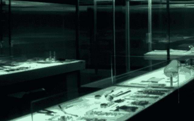 Vitrines éclairées avec ossements et squelettes, ambiance funèbre dans l'épidémie