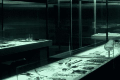 Vitrines éclairées contenant ossements, instruments chirurgicaux et vestiges archéologiques dans un décor laboratoire