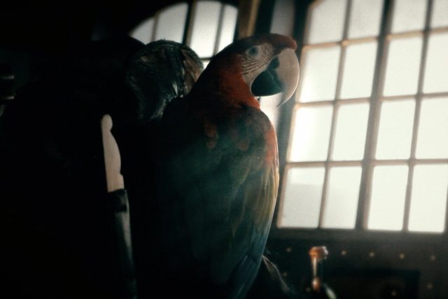 LE MYSTÈRE DE BARBE-NOIRE – Enigmatic Live Escape Game Marne la vallée