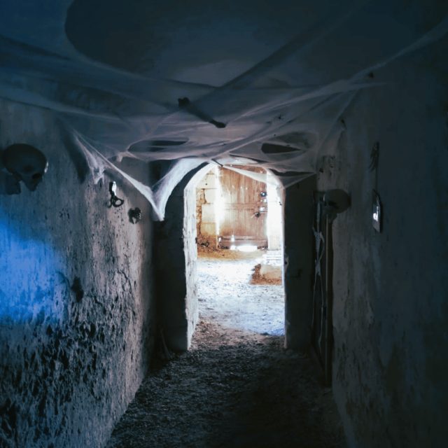 Les couloirs du temps, photo 1