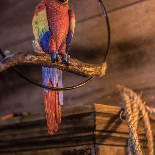 Pirate, photo 1
