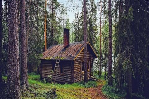 Cabane de rondins au milieu d'une forêt de pins sur un chemin herbeux, salle La cabane chez Mindtrap à Serris
