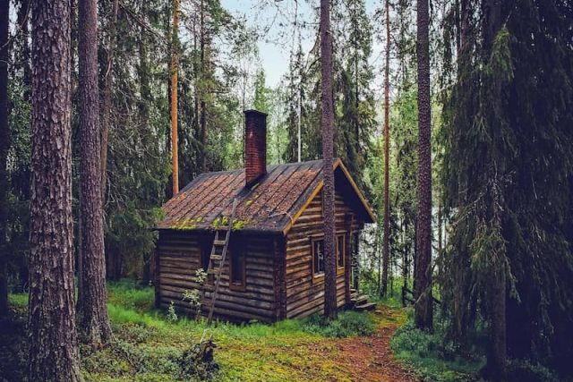 Cabane de rondins au milieu d'une forêt de pins sur un chemin herbeux, salle La cabane chez Mindtrap à Serris