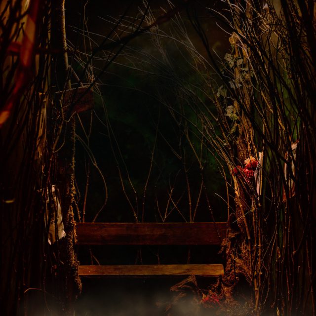 Tunnel de branchages sombres avec un banc de bois, salle La cabane dans les bois à Laxou