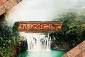 Jungle