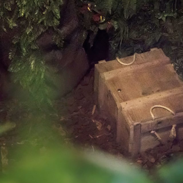 Petit coffre en bois caché dans un feuillage dense, salle Projet Omega chez Escape Time à Saint-Herblain