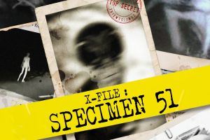 Spécimen 51