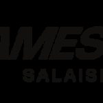 Logo de Games Factory, escape game à Salaise-sur-Sanne
