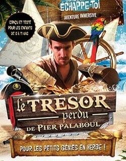 Pirate en tricorne et perroquet coloré, décor d'aventure maritime pour Le trésor perdu de Pier Palaboul
